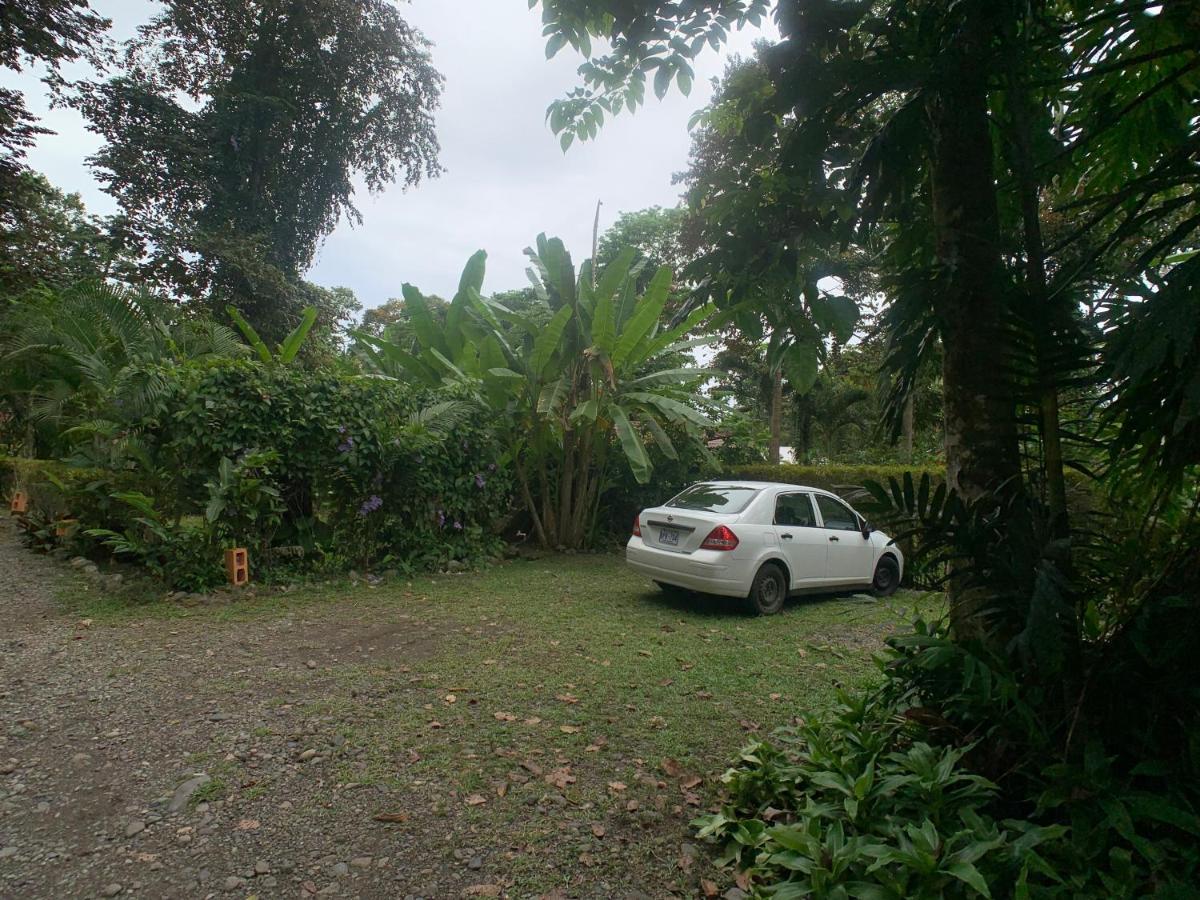 Luna Caribena Village Puerto Viejo de Talamanca Zewnętrze zdjęcie