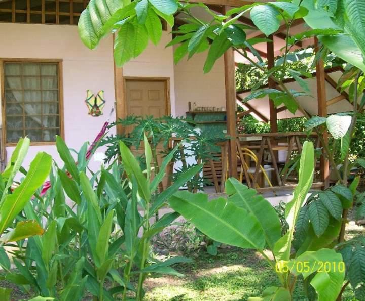 Luna Caribena Village Puerto Viejo de Talamanca Zewnętrze zdjęcie