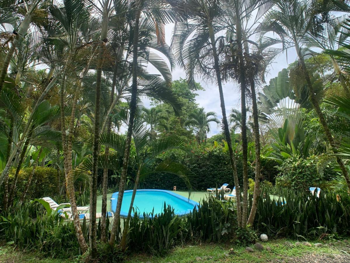 Luna Caribena Village Puerto Viejo de Talamanca Zewnętrze zdjęcie