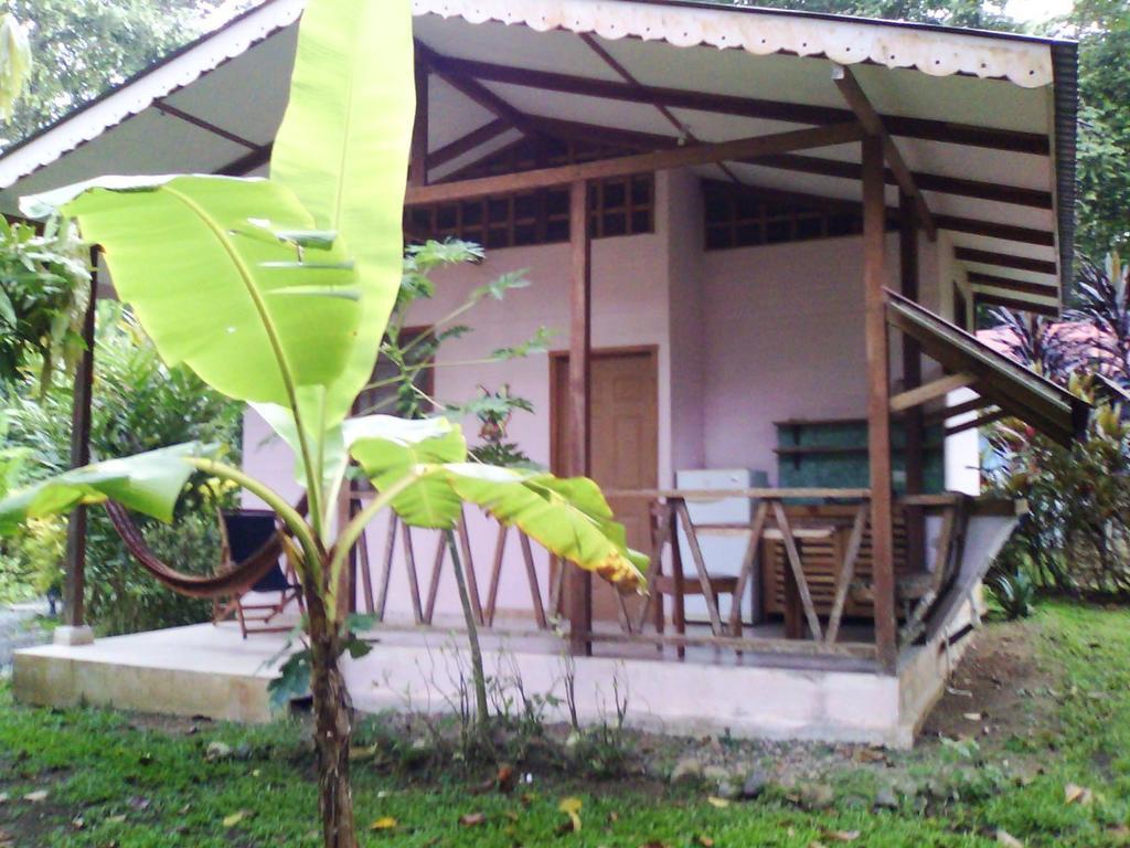 Luna Caribena Village Puerto Viejo de Talamanca Zewnętrze zdjęcie