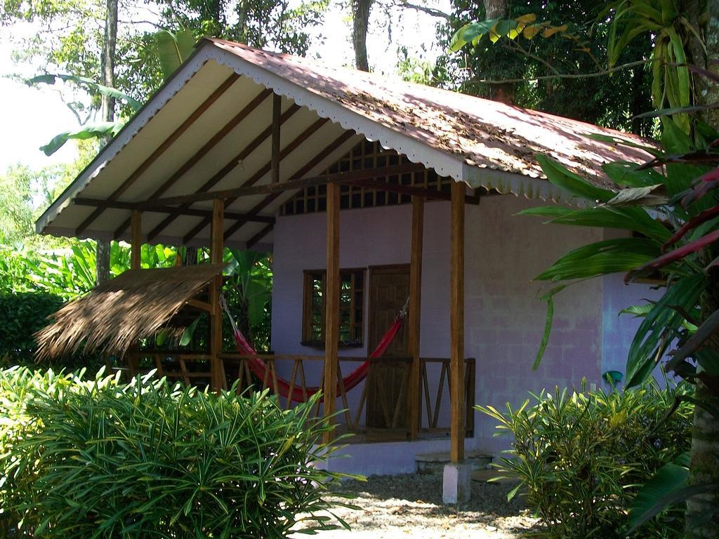 Luna Caribena Village Puerto Viejo de Talamanca Zewnętrze zdjęcie