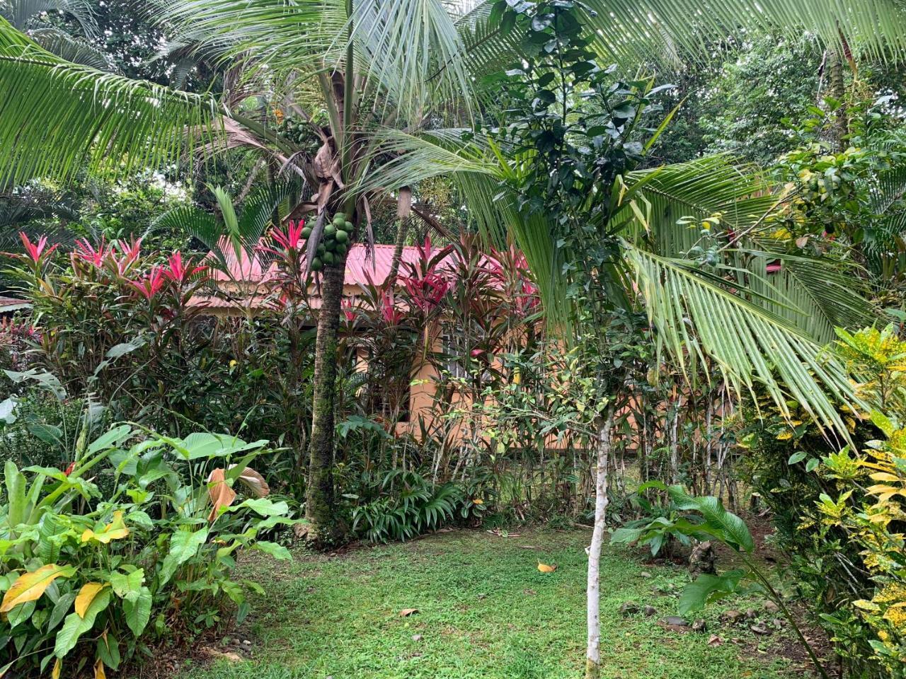 Luna Caribena Village Puerto Viejo de Talamanca Zewnętrze zdjęcie