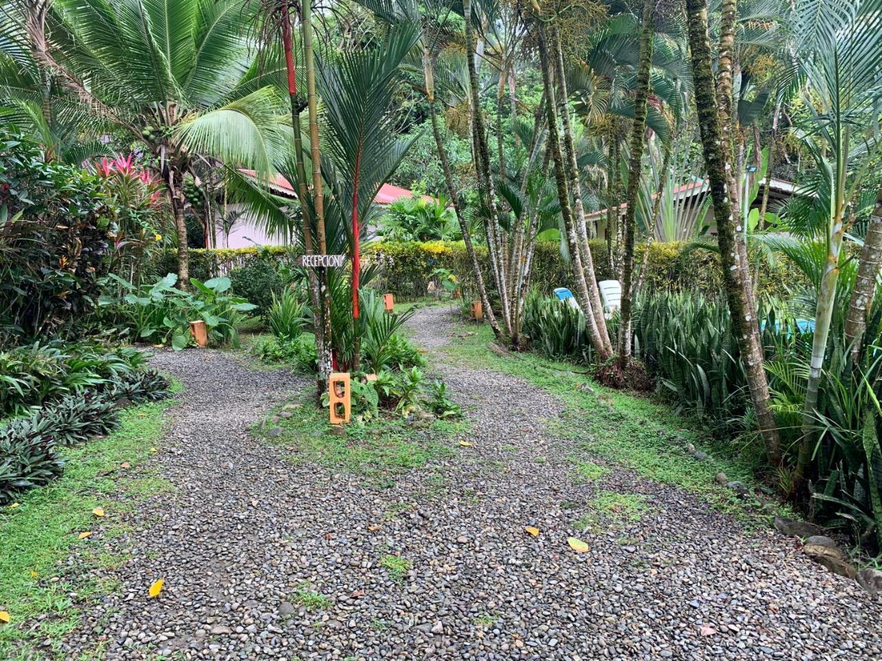 Luna Caribena Village Puerto Viejo de Talamanca Zewnętrze zdjęcie