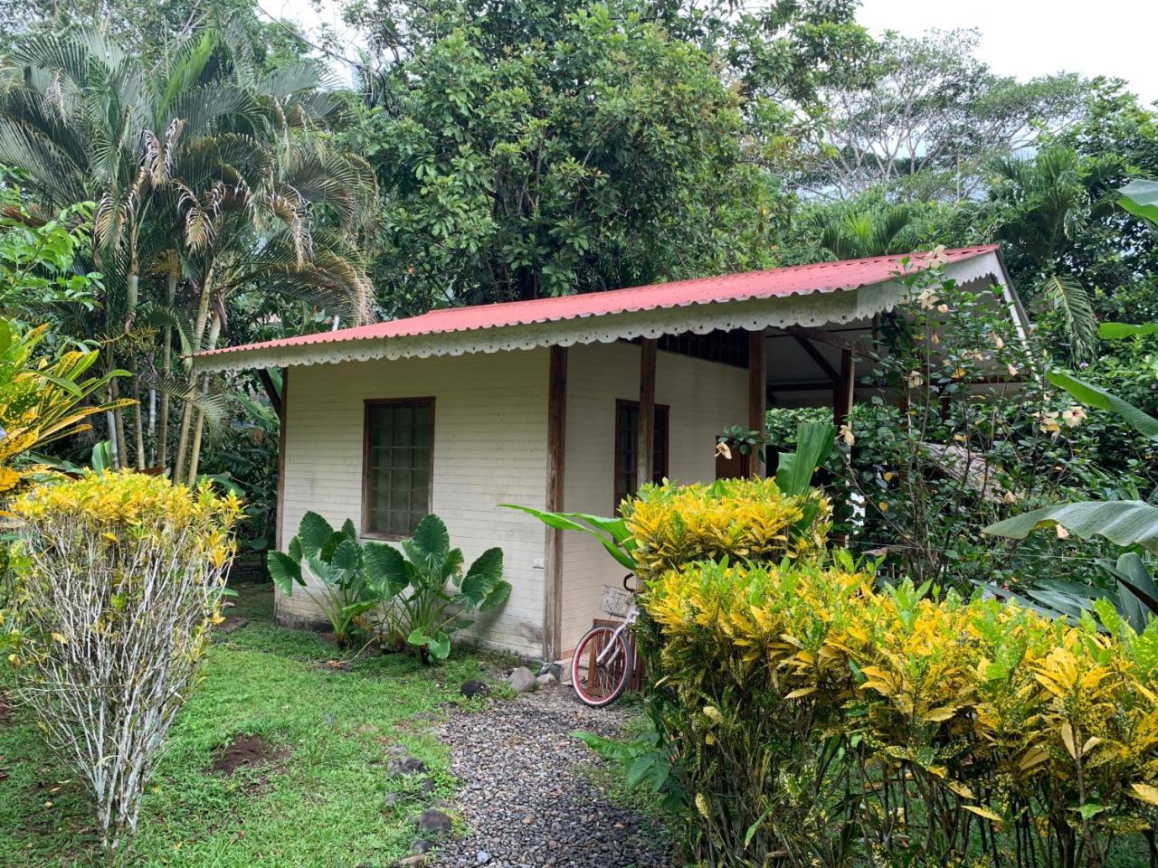 Luna Caribena Village Puerto Viejo de Talamanca Zewnętrze zdjęcie