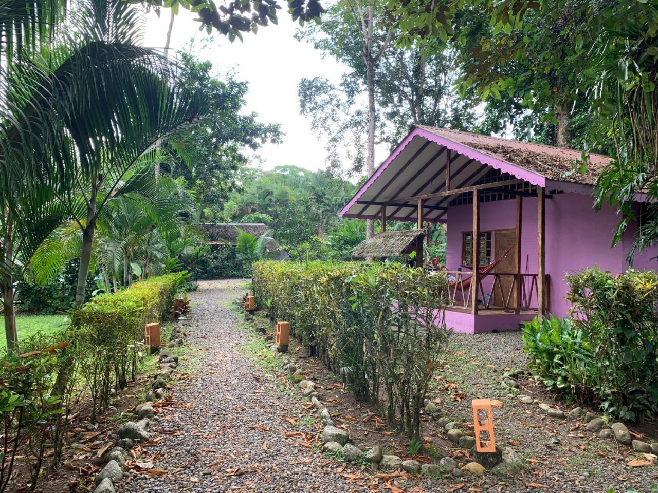 Luna Caribena Village Puerto Viejo de Talamanca Zewnętrze zdjęcie