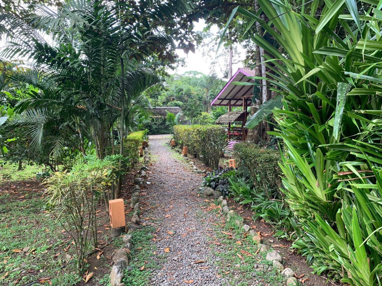 Luna Caribena Village Puerto Viejo de Talamanca Zewnętrze zdjęcie
