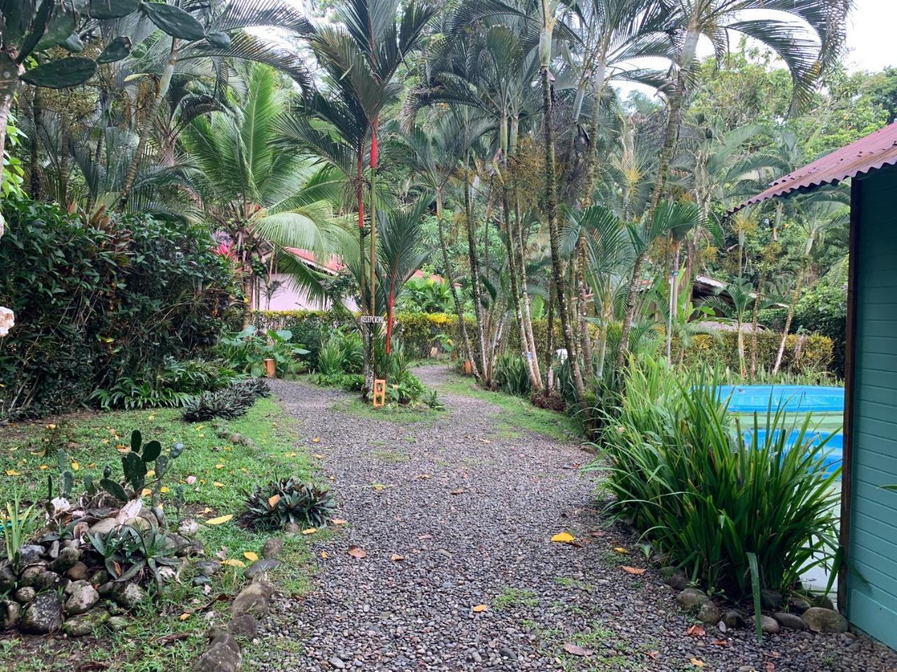 Luna Caribena Village Puerto Viejo de Talamanca Zewnętrze zdjęcie