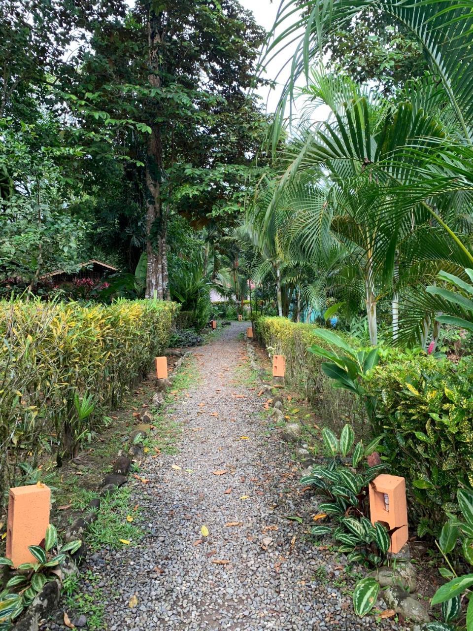 Luna Caribena Village Puerto Viejo de Talamanca Zewnętrze zdjęcie