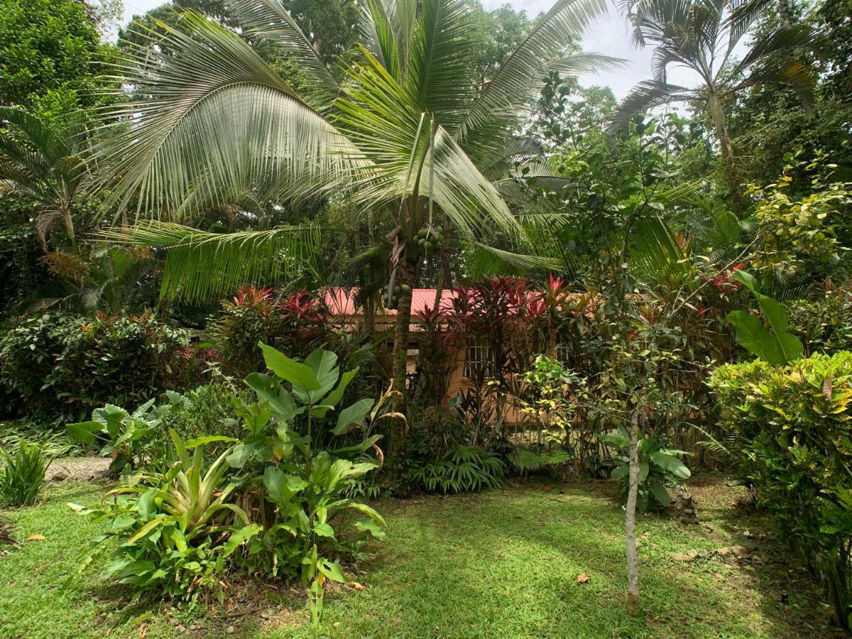 Luna Caribena Village Puerto Viejo de Talamanca Zewnętrze zdjęcie