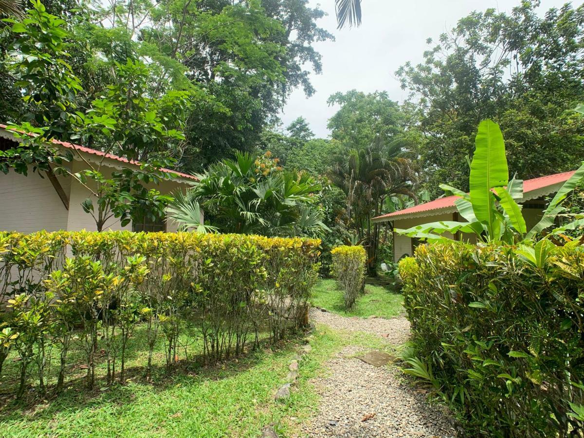 Luna Caribena Village Puerto Viejo de Talamanca Zewnętrze zdjęcie